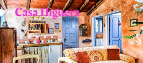 Terrain à San Miguel de Abona, Spain 8000m² No. 27687 25