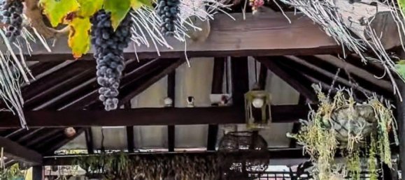 Terrain à San Miguel de Abona, Spain 8000m² No. 27687 17