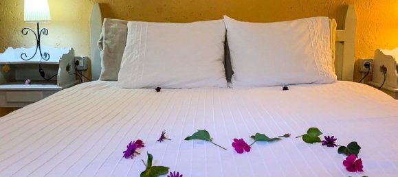 Terrain à San Miguel de Abona, Spain 8000m² No. 27687 35