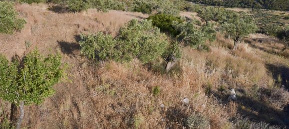 Hotel en Loutraki, Greece 17889 m² No. 7148 3