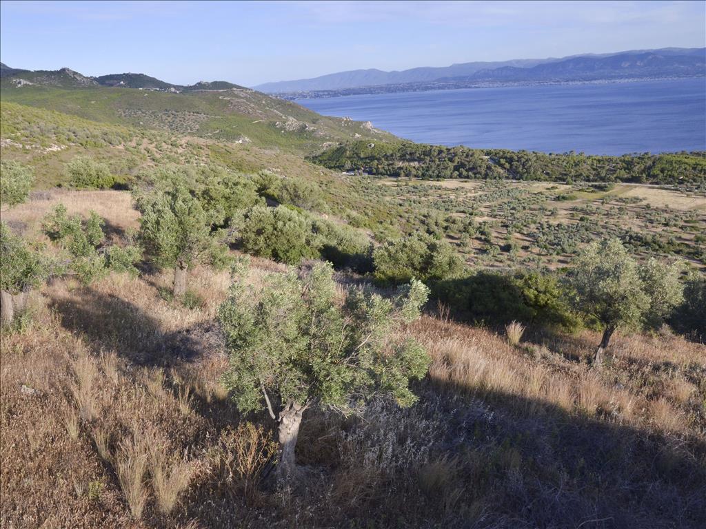 17889 m² hotel en venta en Loutraki, Loutraki-Perachora-Agioi Theodoroi, Corinthia, Peloponnese, Peloponnese, Western Greece and the Ionian, Greece № 7148