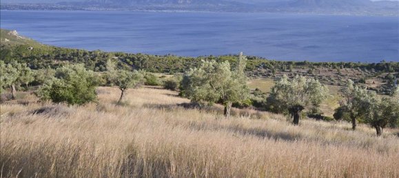 Hotel en Loutraki, Greece 17889 m² No. 7148 2