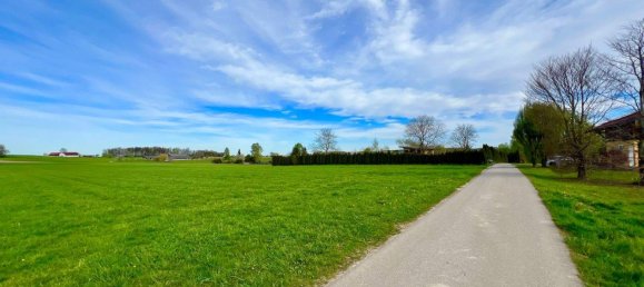 Grundstück in Eggelsberg, Austria, Nr. 166603 3