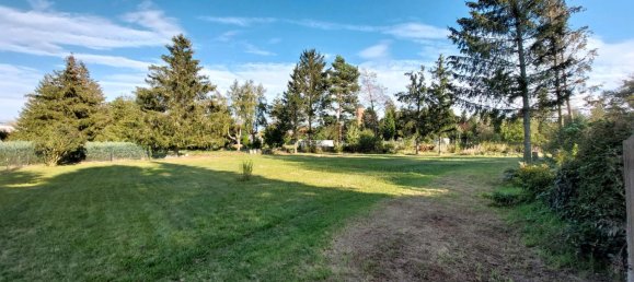 3 chambres Maison de ville à Mansfeld-Sudharz, Germany No. 266977 3