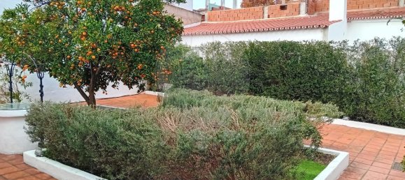 Casa T1 em Évora, Portugal N.º 25265 6