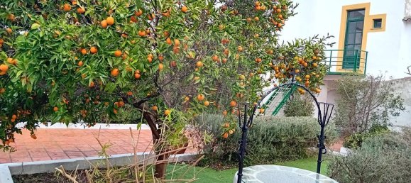 Casa T1 em Évora, Portugal N.º 25265 4