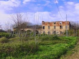 14 rooms House in Casaleone, Italy No. 14686