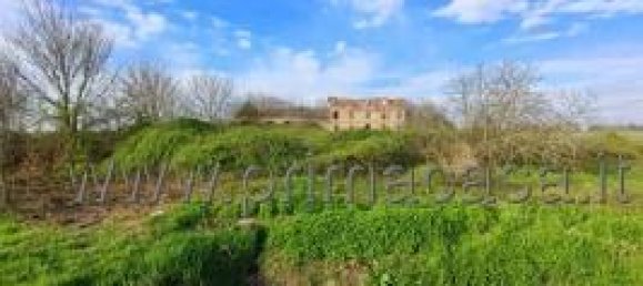 14 rooms House in Casaleone, Italy No. 14686 5