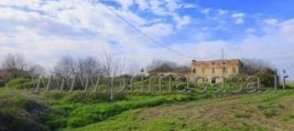 14 rooms House in Casaleone, Italy No. 14686 6