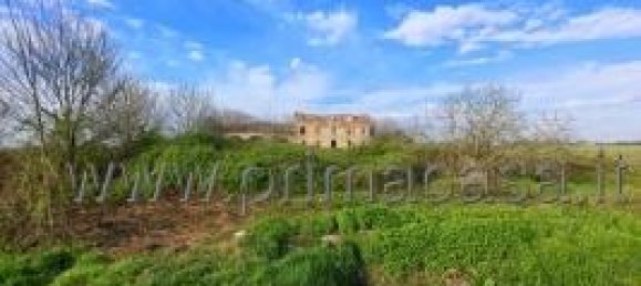 14 rooms House in Casaleone, Italy No. 14686 9