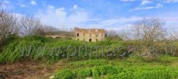 14 rooms House in Casaleone, Italy No. 14686 7