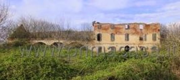 14 rooms House in Casaleone, Italy No. 14686 4