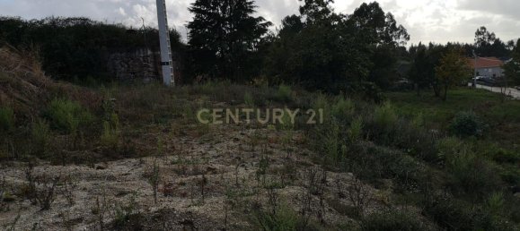 Grundstück in Penafiel, Portugal 8062m², Nr. 77522 5