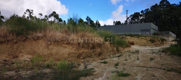 Grundstück in Penafiel, Portugal 8062m², Nr. 77522 3