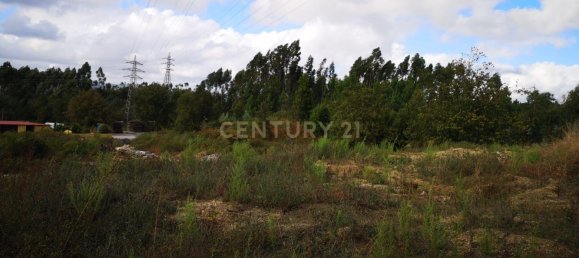 Grundstück in Penafiel, Portugal 8062m², Nr. 77522 2