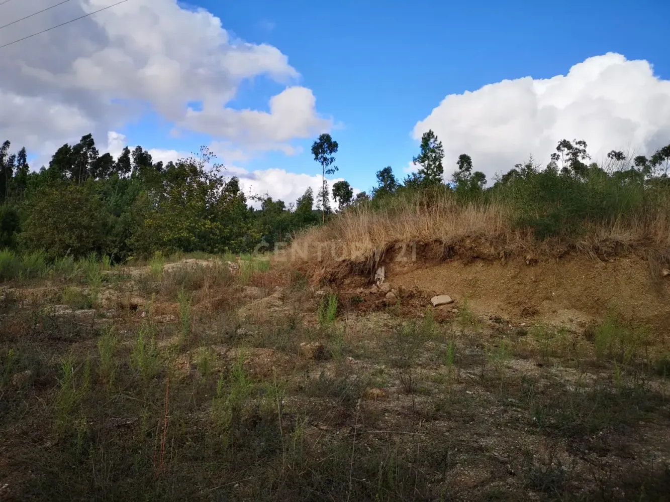 Grundstück in Penafiel, Portugal 8062m², Nr. 77522