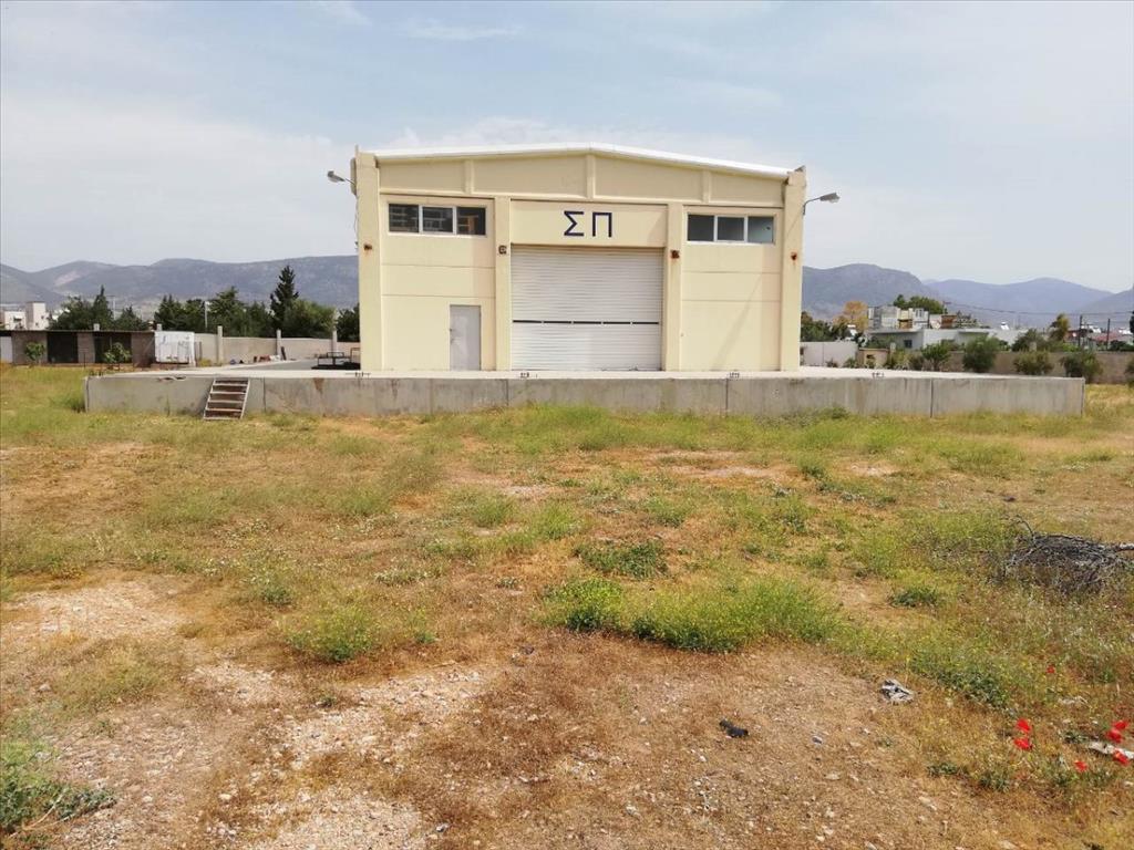 1000m² Property in Athens, Greece No. 5285
