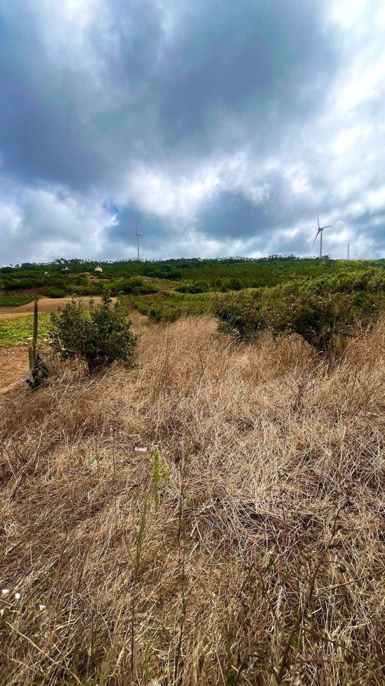  Land in Atouguia da Baleia, Portugal No. 280061
