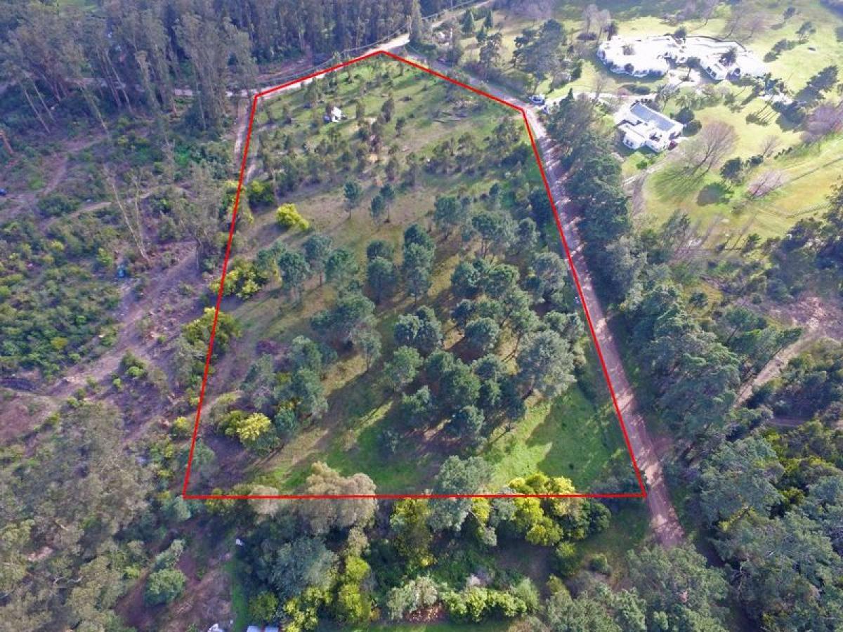  Land in Maldonado, Uruguay No. 16145