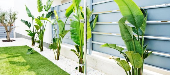 3 bedrooms House in Los Montesinos, Spain No. 13512 22