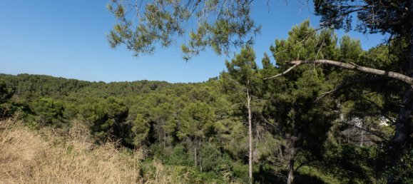  Land in Alicante, Spain No. 139249 5