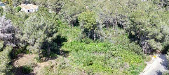  Land in Alicante, Spain No. 139249 9