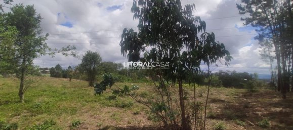 Земельный участок 13010м² в Агеда, Португалия № 68053 4