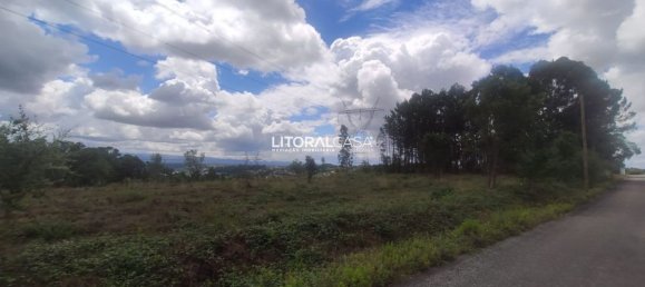 Земельный участок 13010м² в Агеда, Португалия № 68053 7