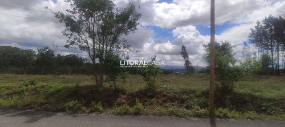 Земельный участок 13010м² в Агеда, Португалия № 68053 6