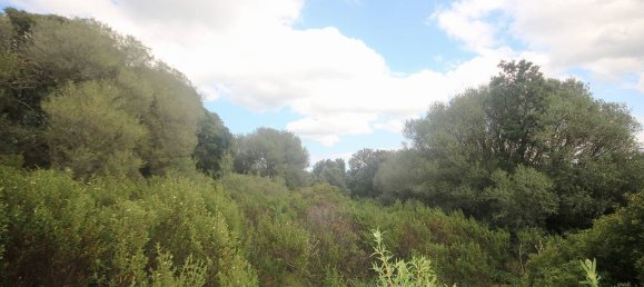 2-salle Maison à Arzachena, Italy No. 74672 21