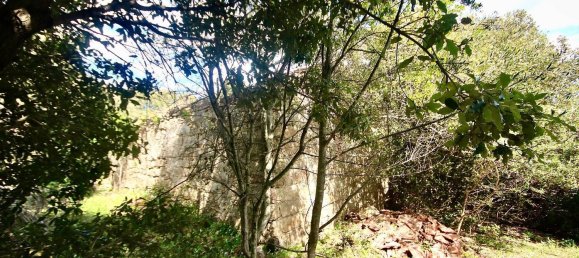 2-salle Maison à Arzachena, Italy No. 74672 11