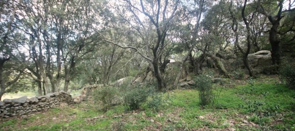 2-salle Maison à Arzachena, Italy No. 74672 16