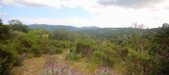 2-salle Maison à Arzachena, Italy No. 74672 37