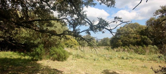 2-salle Maison à Arzachena, Italy No. 74672 9