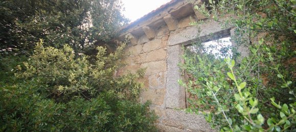 2-salle Maison à Arzachena, Italy No. 74672 6