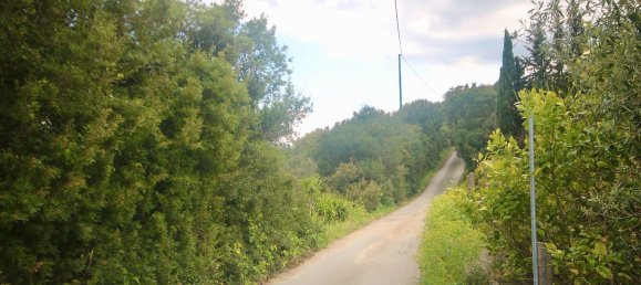 2-salle Maison à Arzachena, Italy No. 74672 42