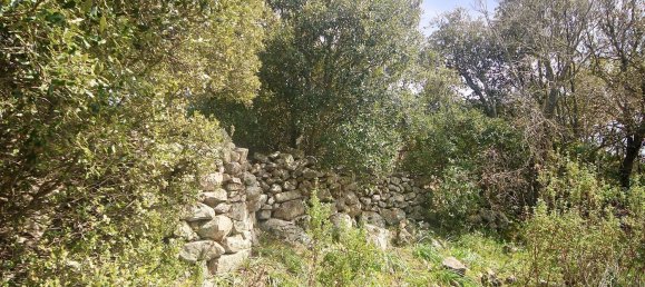 2-salle Maison à Arzachena, Italy No. 74672 15