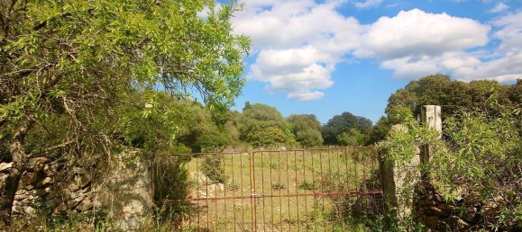 2-salle Maison à Arzachena, Italy No. 74672 7