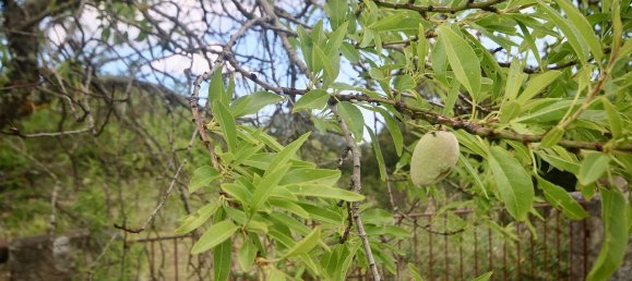 2-salle Maison à Arzachena, Italy No. 74672 28