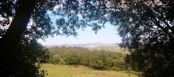 2-salle Maison à Arzachena, Italy No. 74672 17