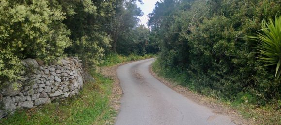 2-salle Maison à Arzachena, Italy No. 74672 49