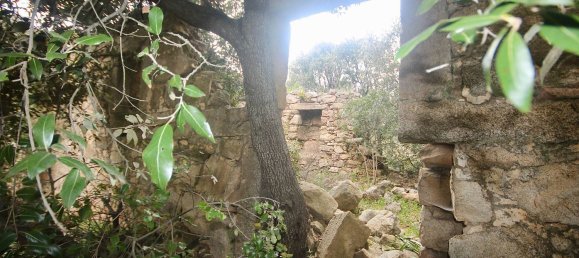 2-salle Maison à Arzachena, Italy No. 74672 5