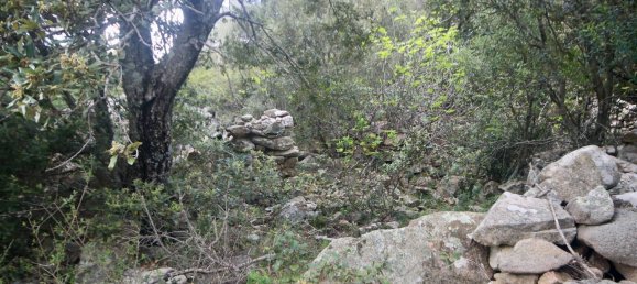 2-salle Maison à Arzachena, Italy No. 74672 27