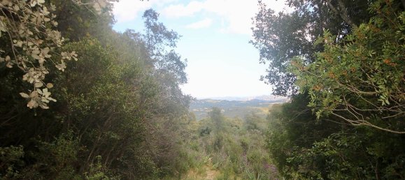 2-salle Maison à Arzachena, Italy No. 74672 29