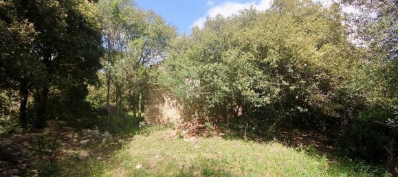 2-salle Maison à Arzachena, Italy No. 74672 10