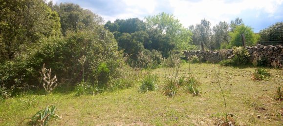 2-salle Maison à Arzachena, Italy No. 74672 13