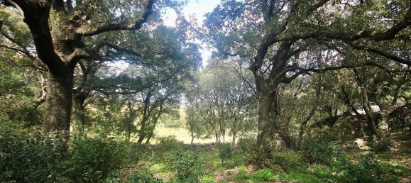 2-salle Maison à Arzachena, Italy No. 74672 14