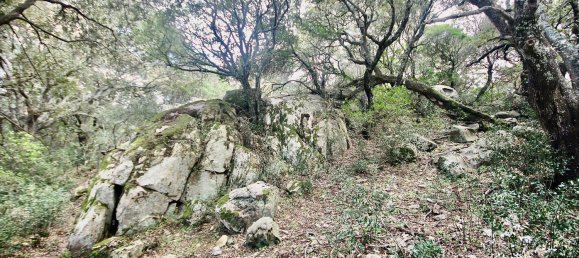 2-salle Maison à Arzachena, Italy No. 74672 19