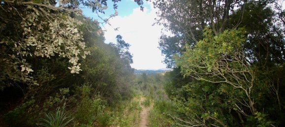 2-salle Maison à Arzachena, Italy No. 74672 30