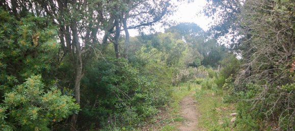 2-salle Maison à Arzachena, Italy No. 74672 32